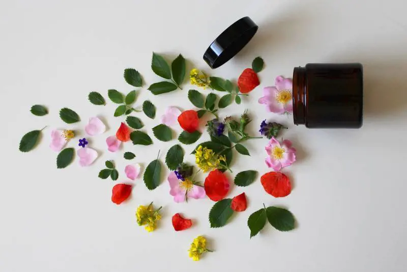 In Masseria si studia la cosmesi "green". Grazie a una ricercatrice in statistica