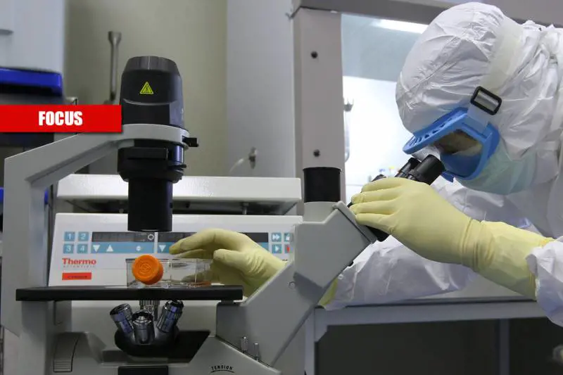 Ecco come funziona il farmaco che ora può bloccare il Covid
