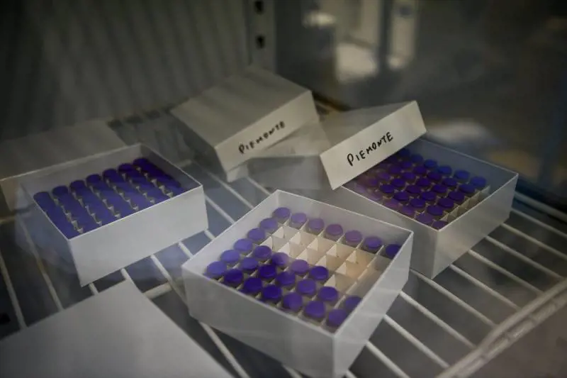 Dalle celle Ult al ghiaccio sintetico: tutti gli ostacoli al piano vaccini