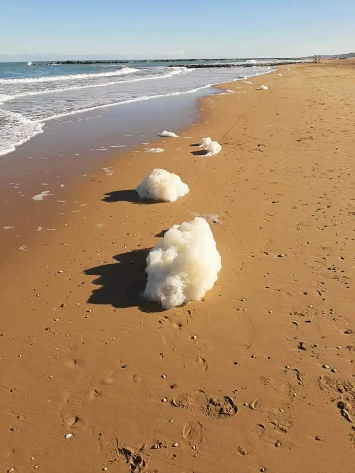 Strana schiuma in mare "Ecco che cosa c'è dietro"