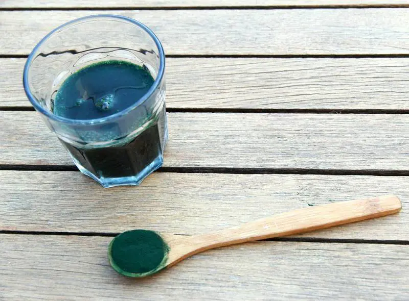 Alga spirulina, il superfood dall'effetto energizzante
