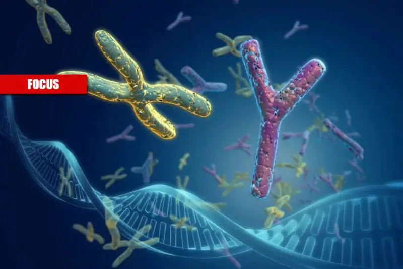 "Ecco chi si ammala di più": Covid e genetica, cosa sappiamo