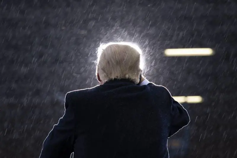 I tormenti dell'elefantino