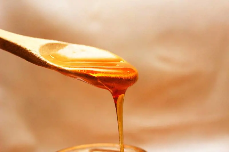 Pappa reale, l’integratore naturale che allevia lo stress