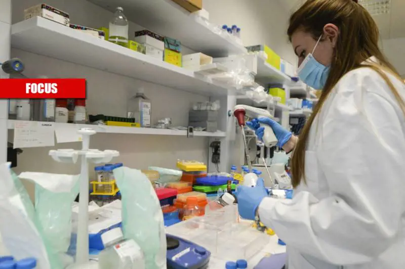 "Ecco la variante sudafricana, così il virus prova a fregarci"