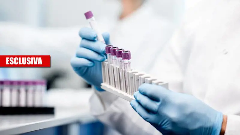I nanoanticorpi saranno la svolta: ecco la nuova cura anti-Covid
