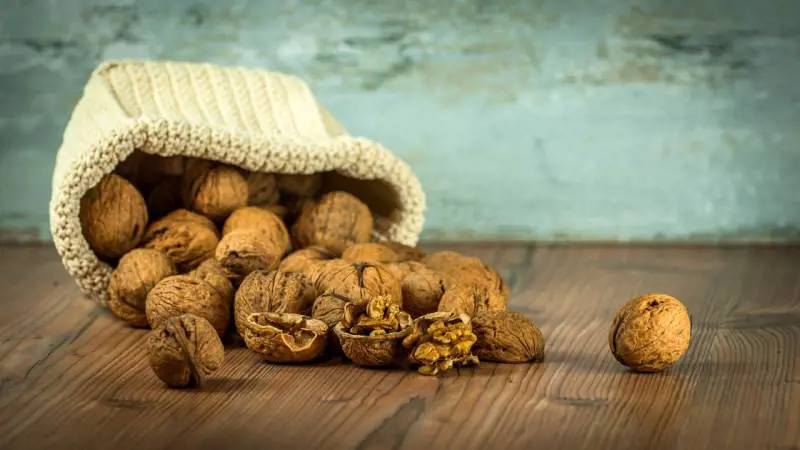 Noci, proprietà e benefici del frutto amico del cuore