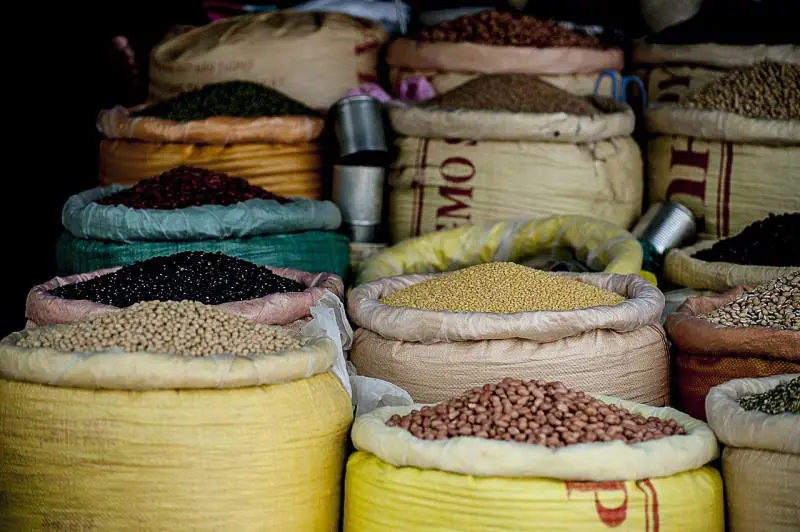 Legumi, dalle lenticchie ai ceci tutte le loro proprietà