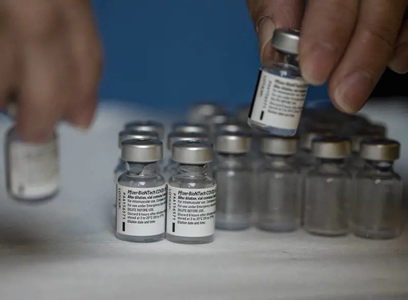 Pfizer, variante sudafricana riduce l'efficacia. Cosa dice lo studio