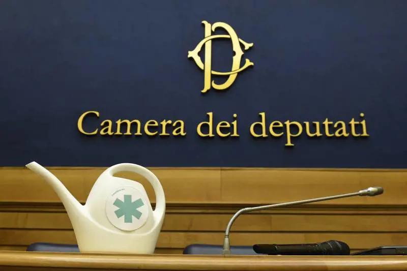 Riecco la priorità dei 5 Stelle: liberalizzare la cannabis