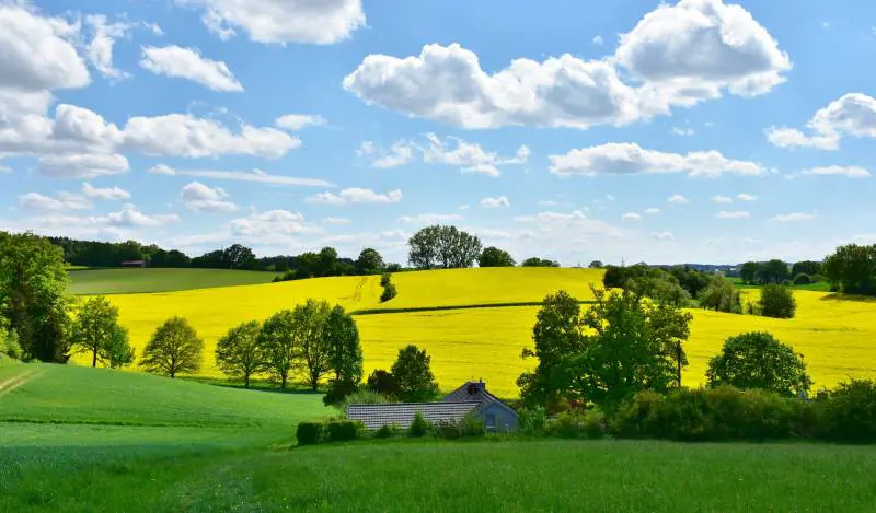 I "conservatori verdi" tra campagna e agricoltura