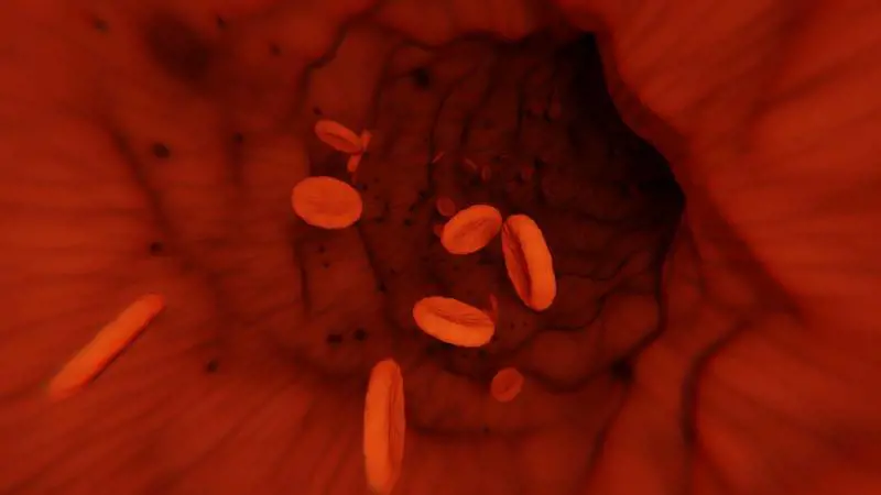 Contro il mieloma multiplo, una nuova terapia riaccende le speranze