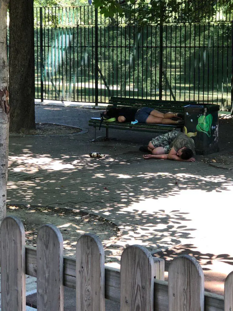 Degrado e incuria a Milano: "Parco Trotter invivibile, sindaco irresponsabile"