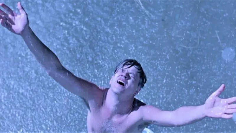 Le ali della libertà, da totale fallimento a capolavoro del cinema