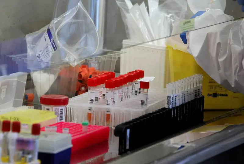 Covid nato in laboratorio. Appello degli scienziati per una nuova inchiesta