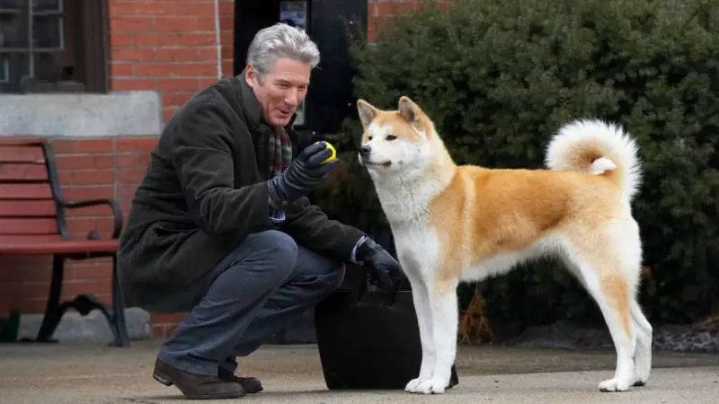 Hachiko, la struggente storia vera che ha convinto anche Richard Gere