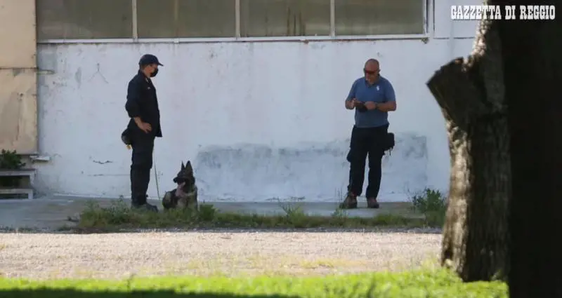 Un frame del video della Gazzetta di Reggio