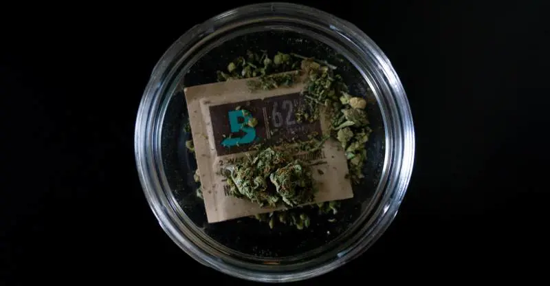 L'asse giallorosso per la cannabis libera. Ma il centrodestra fa muro