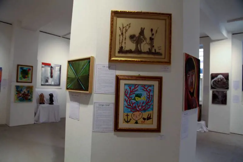 Immagine gallery