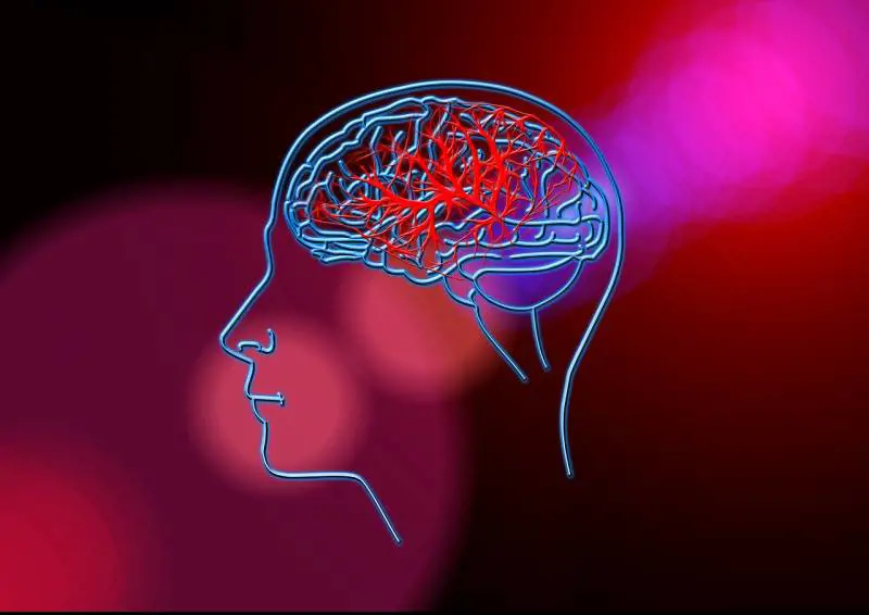Ictus e infarti, un caso su due si può evitare: cosa dice lo studio