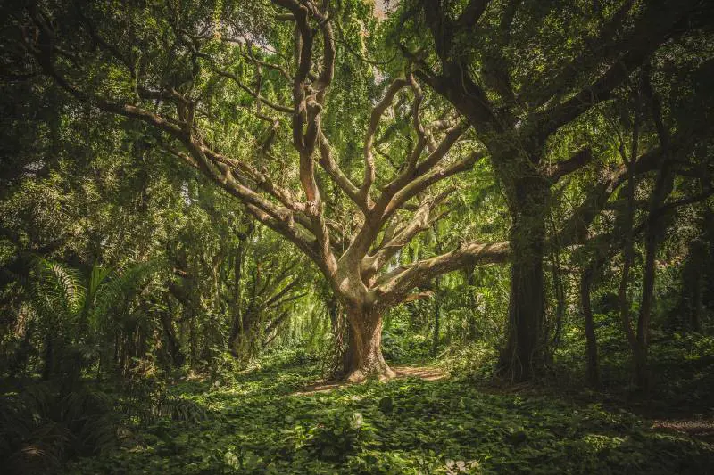 "Una sintesi dell'equilibrio tra uomo, natura e storia"