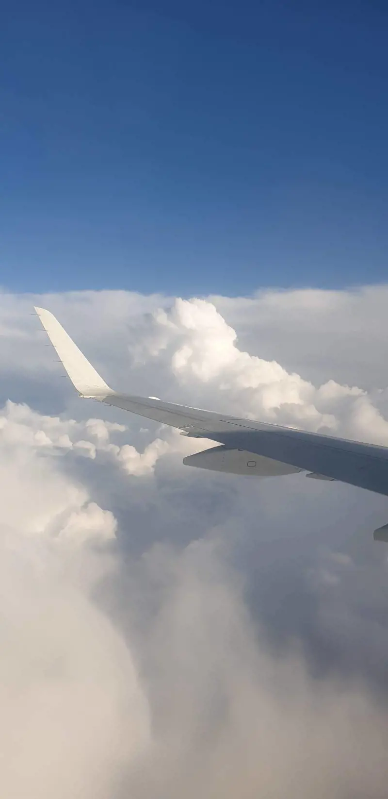 "Era nascosto in bagno", evacuato l'aereo per Milano
