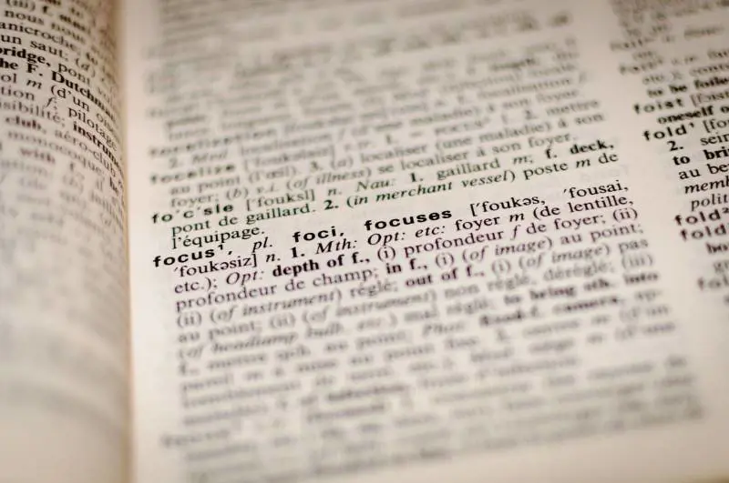 Il pronome neutro? Un atto di sottomissione alla dittatura "woke"
