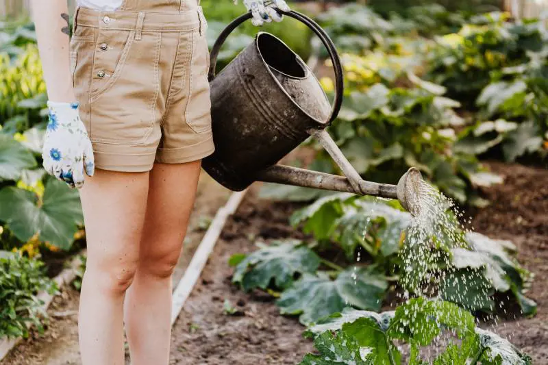I "farmer" inglesi temono il futuro
