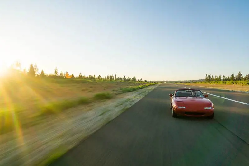 Cinetosi, i rimedi naturali per combattere il mal d'auto