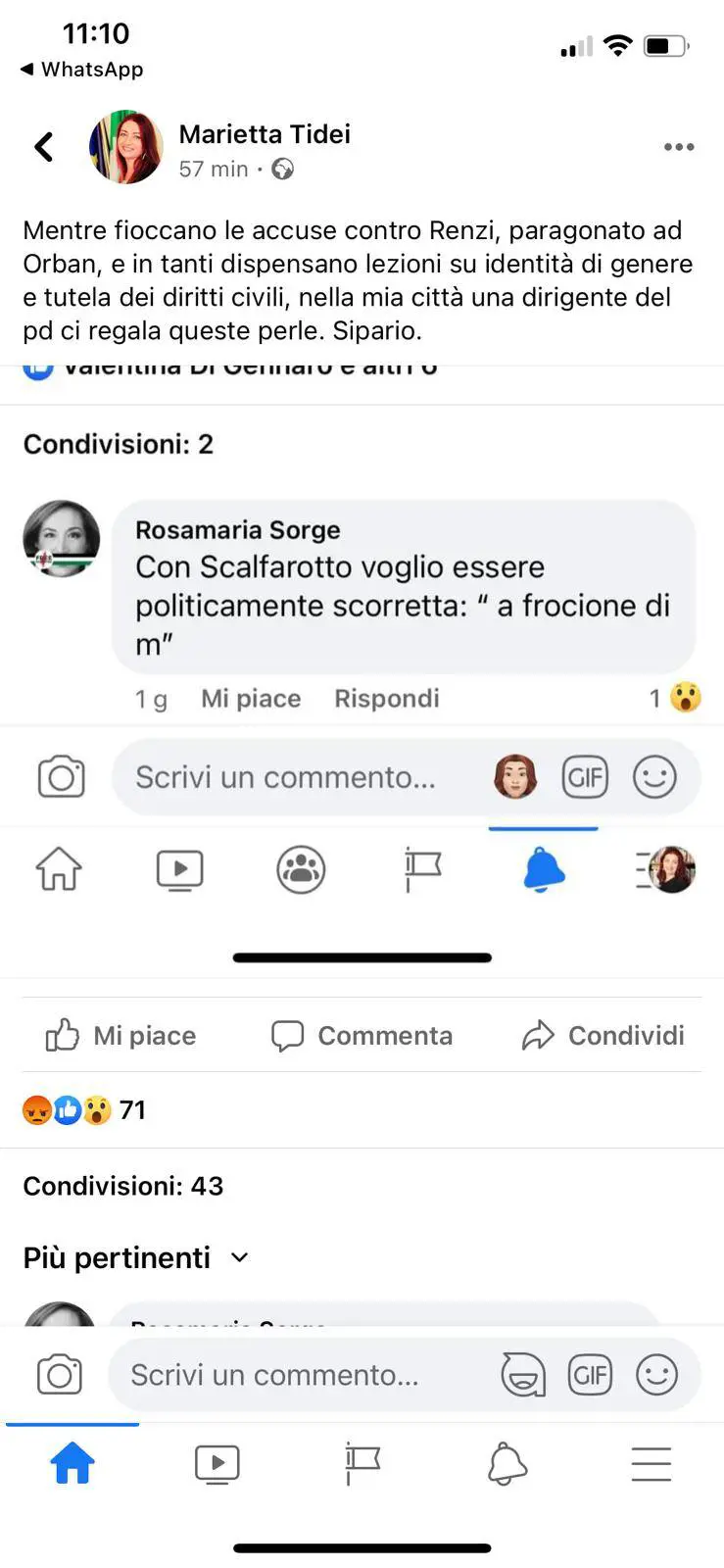 "Fr... di m...": se la candidata Pd fa commenti omofobi