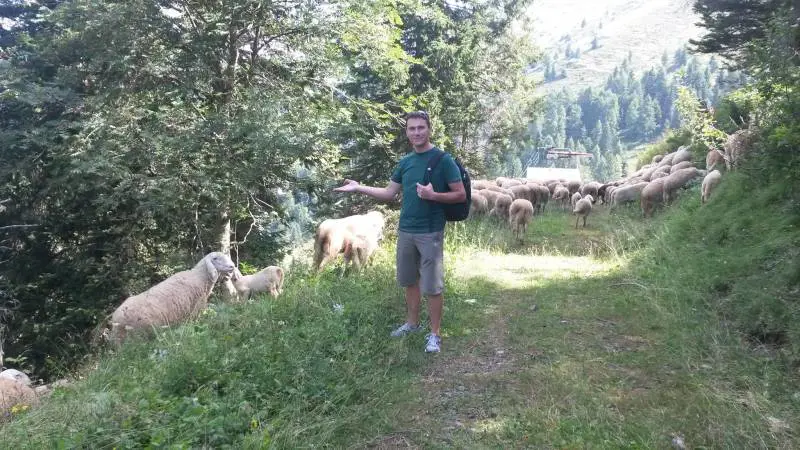 Prete precipita in un dirupo e muore: accompagnava i ragazzi in montagna per una vacanza