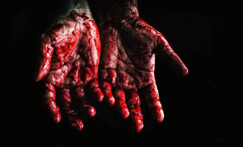 Quelle voci che uccidono: quando i "demoni" esistono davvero