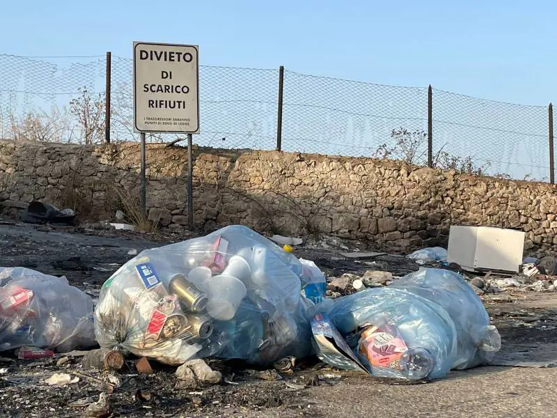 La Lucarelli e l'inferno di discariche abusive: "Qua nessuno vuol metterci mano"