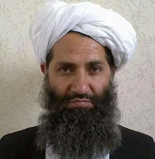 Al Qaida chiama alle armi il jihadismo globale. E incorona il capo talebano nuovo Bin Laden