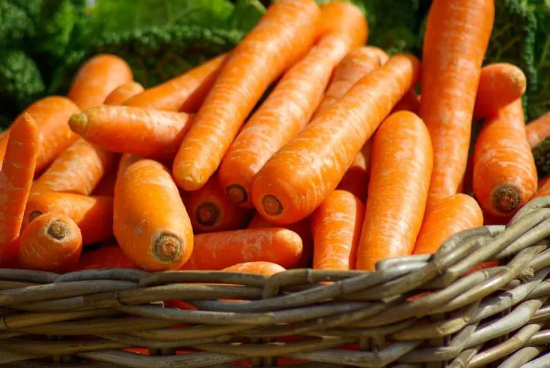 Carote a tavola, ecco come aiutano il nostro organismo