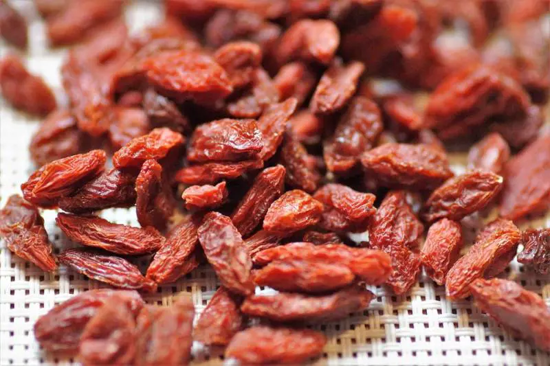 Bacche di Goji: preziose alleate del benessere