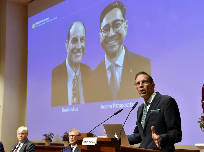 Stoccolma evita il Covid. Il Nobel agli scienziati che "esplorano" il tatto