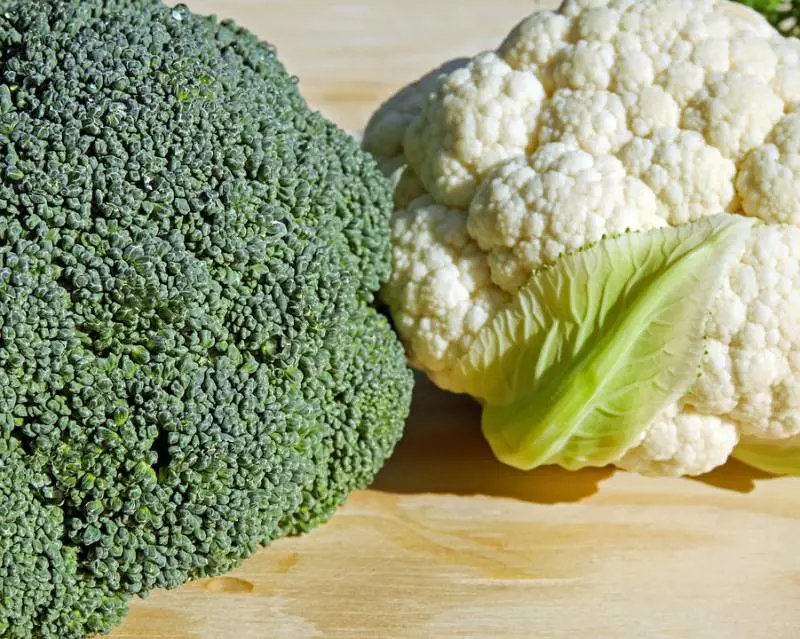 Ecco perché i broccoli non devono mancare a tavola