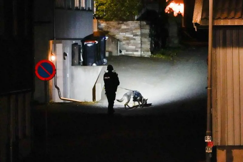 "Convertito all'Islam". Chi è il killer con arco e frecce