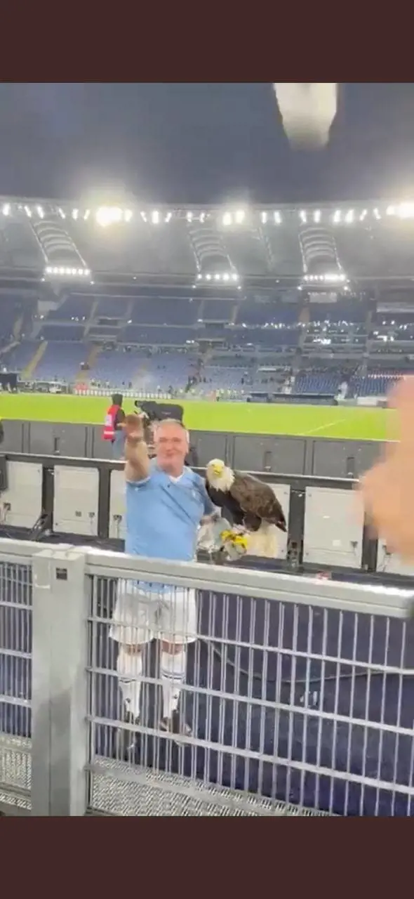 Saluto romano allo stadio, il falconiere: "Non sapevo fosse vietato"