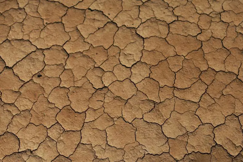 Il rischio globale ora è la scarsità