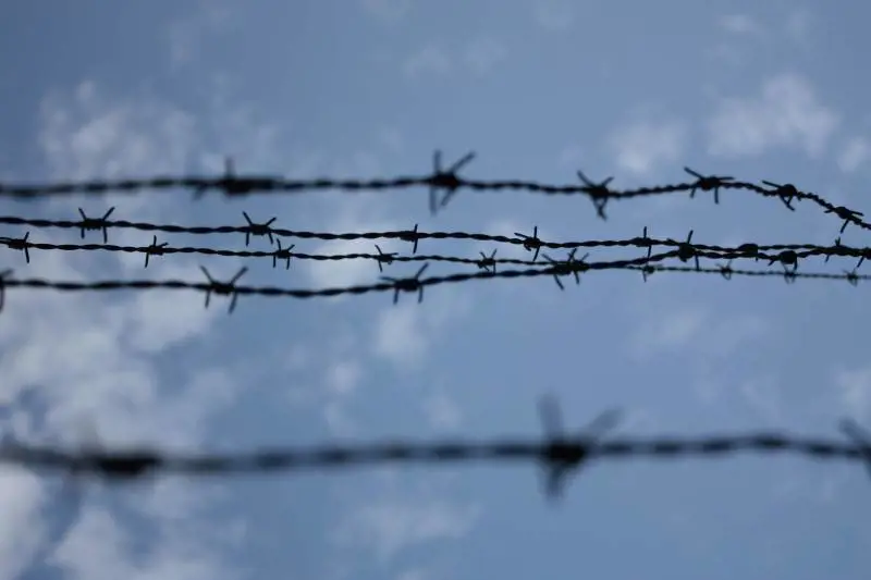 L'assurda ignoranza che offende la memoria