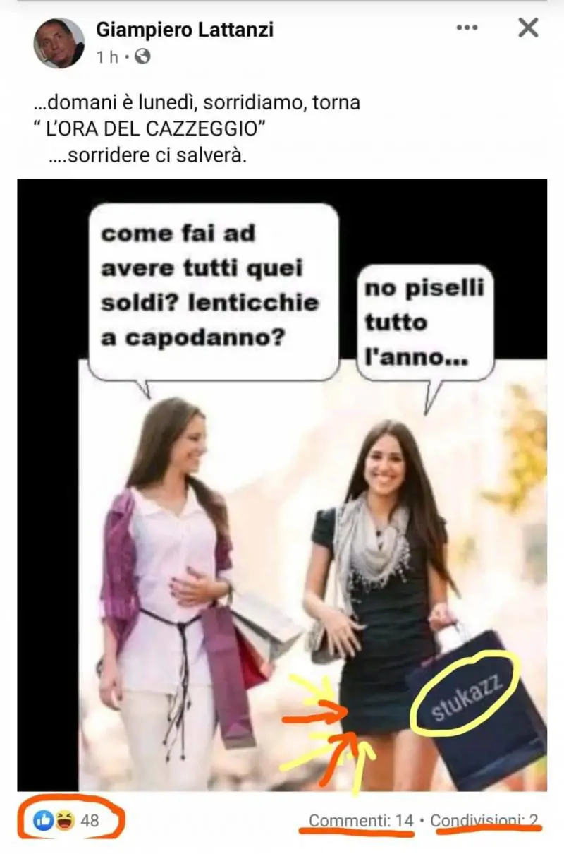 Il presidente Pd pubblica vignetta sessista: è polemica