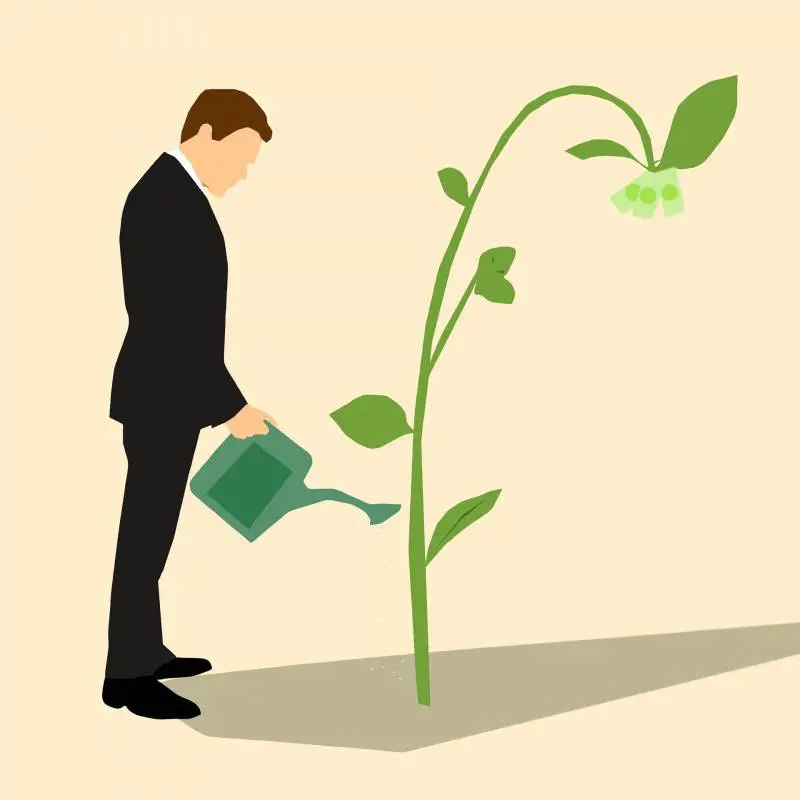 La lotta al greenwashing: a che punto è l'Europa?