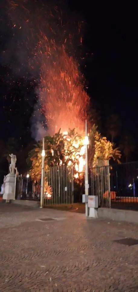 Bruciano gli alberi della villa comunale: si teme che l’incendio sia doloso