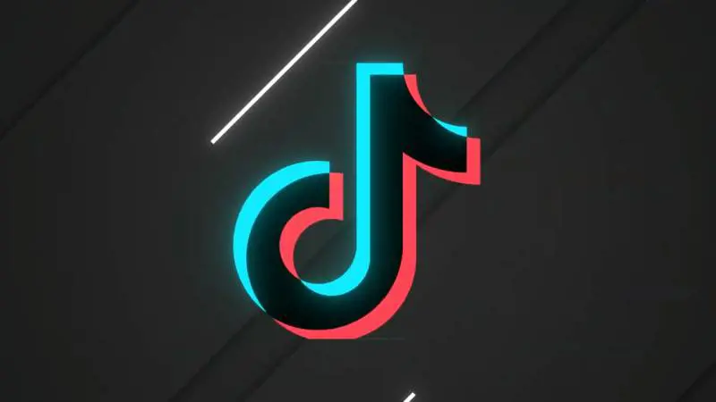 I video choc su Tik Tok sui bimbi che cambiano sesso. E scatta l'allarme
