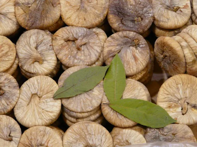 Fichi secchi e proprietà: deliziano il palato e fanno bene