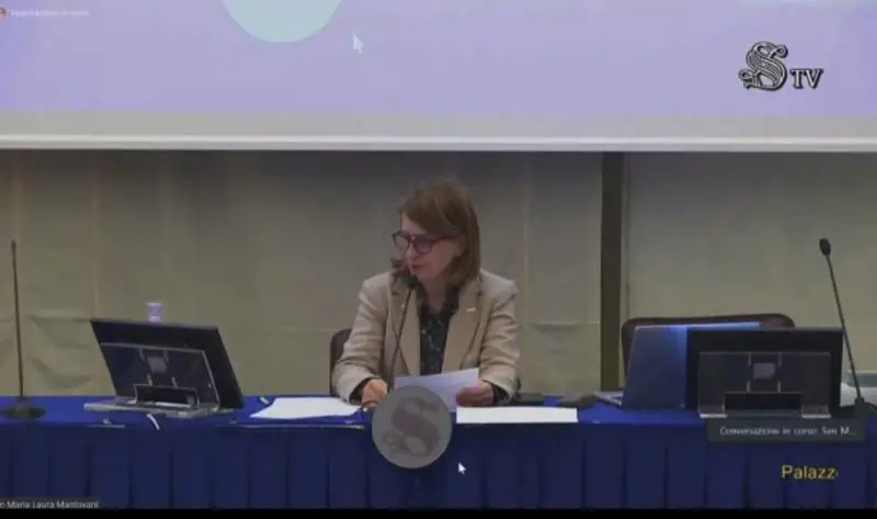 Senato, durante un convegno grillino spunta un video hard