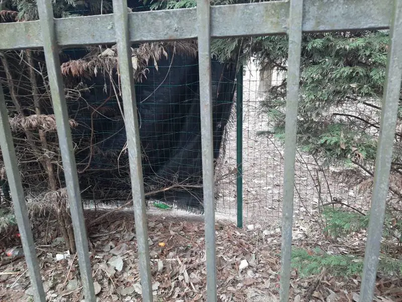 Bottiglie contro i bimbi a scuola. A Milano sicurezza fuori controllo
