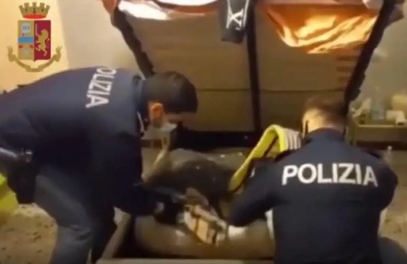 "Quella passala a me...". Blitz sul Capodanno da incubo
